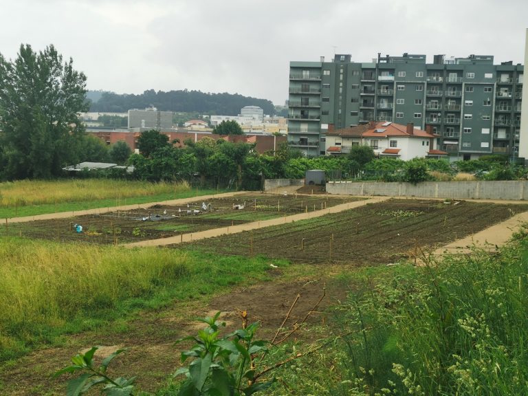 Horta das Lameiras foi alargada