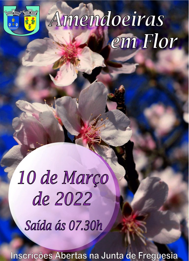 Passeio às Amendoeiras em flor