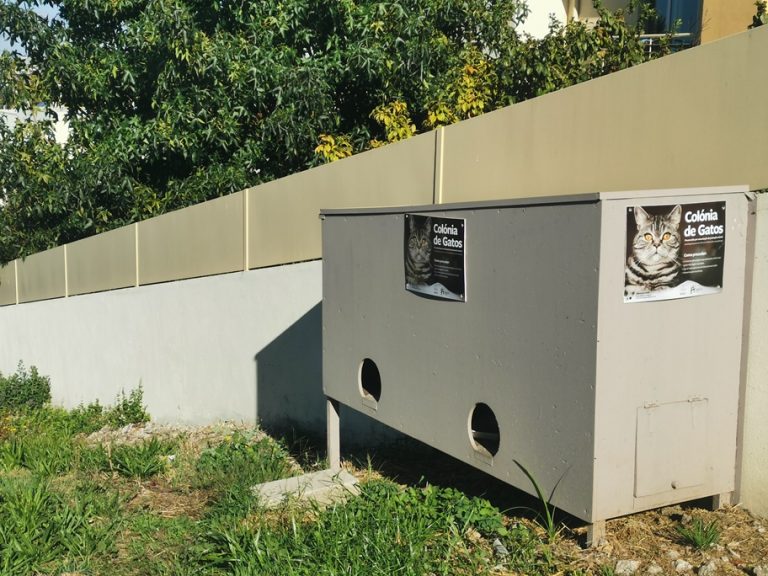 Instalada a 1ª colónia de gatos da freguesia