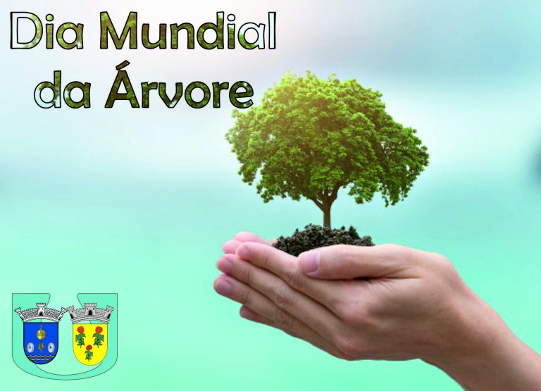 Dia Mundial da Árvore